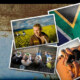 Cooked In Africa web design